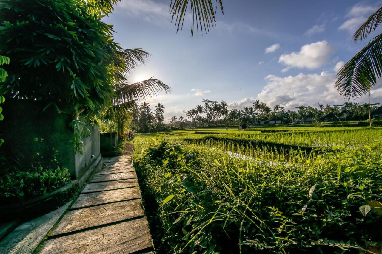 Villa Natha Ubud Exteriör bild